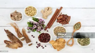 佛山桑拿类型大揭秘：探索放松身心的多样化选择