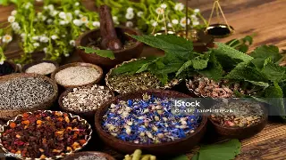 佛山桑拿按摩新手入门：常见问题解答与注意事项