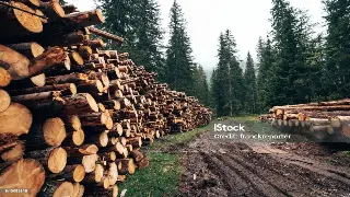 佛山桑拿按摩新手指南：最佳时长与频率，享受身心舒缓之旅