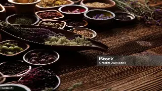 佛山市专业按摩技巧教程：掌握桑拿按摩的入门与进阶