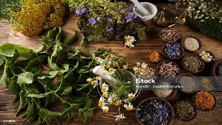 佛山按摩大PK：泰式、中式、日式，哪款才是你的解压神助攻？