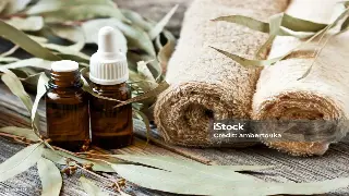 告别僵硬！佛山按摩达人教你几招，在家也能享受大师级放松