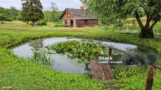 佛山桑拿新体验：告别肌肉僵硬，解锁身心轻盈的秘密！