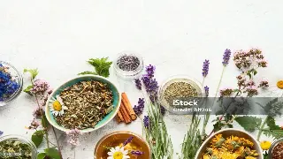 佛山桑拿大揭秘：芬兰浴、土耳其浴、韩式汗蒸，哪款才是你的菜？