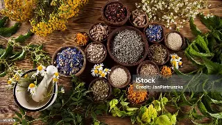 佛山桑拿新动向：告别传统，拥抱个性化健康定制时代